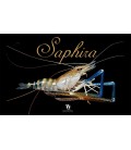 Saphira taille 2/4